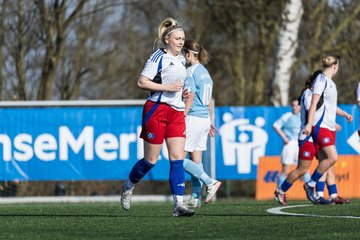 Bild 76 - F Hamburger SV 3 - Blau-Weiss 96 : Ergebnis: 5:1